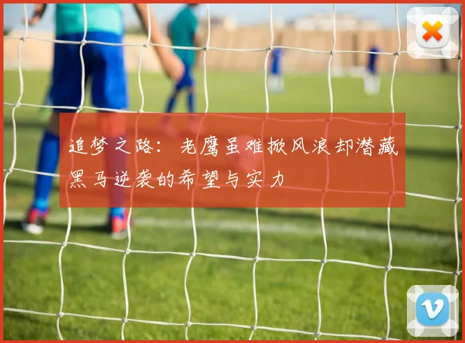 追梦之路：老鹰虽难掀风浪却潜藏黑马逆袭的希望与实力